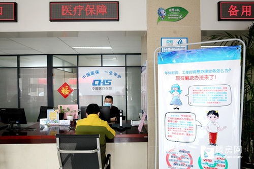 龍泉街道服務中心 午間不斷檔、全年不打烊，檔案整理服務貼心直達群眾心坎