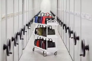 選擇我們的意大利檔案整理服務 專業、高效與安心